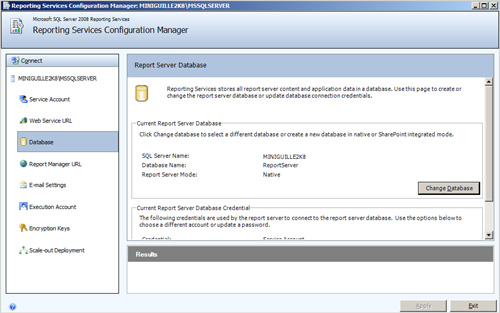 Report Server Database